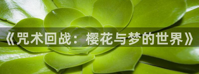 ★禁漫天堂漫画网在线：《咒术回战：樱花与梦的世界》