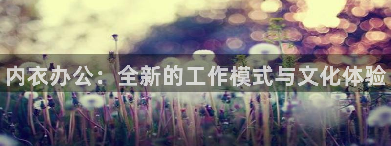 禁漫天堂网址：内衣办公：全新的工作模式与文化体验